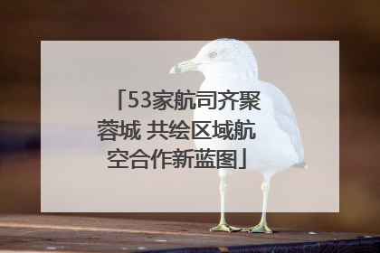 53家航司齐聚蓉城 共绘区域航空合作新蓝图