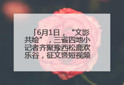 6月1日，“文影共绘”，三省四地小记者齐聚豫西松鹿欢乐谷，征文暨短视频大赛精彩启幕！