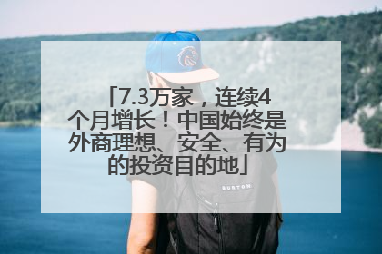 7.3万家，连续4个月增长！中国始终是外商理想、安全、有为的投资目的地