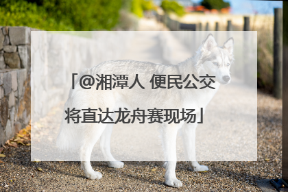 @湘潭人 便民公交将直达龙舟赛现场