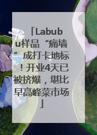 Labubu样品“痛墙”成打卡地标！开业4天已被挤爆，堪比早高峰菜市场