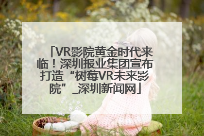 VR影院黄金时代来临！深圳报业集团宣布打造“树莓VR未来影院”_深圳新闻网
